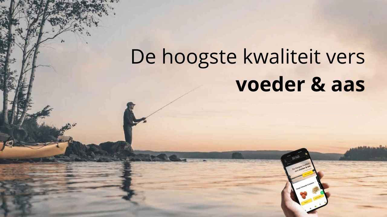 De hoogste kwaliteit vers vis voeder en aas - Belgium Bait Shop