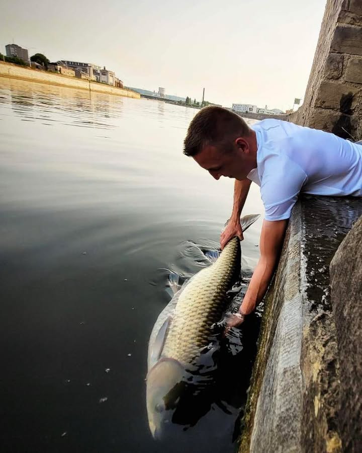 Strike on the river