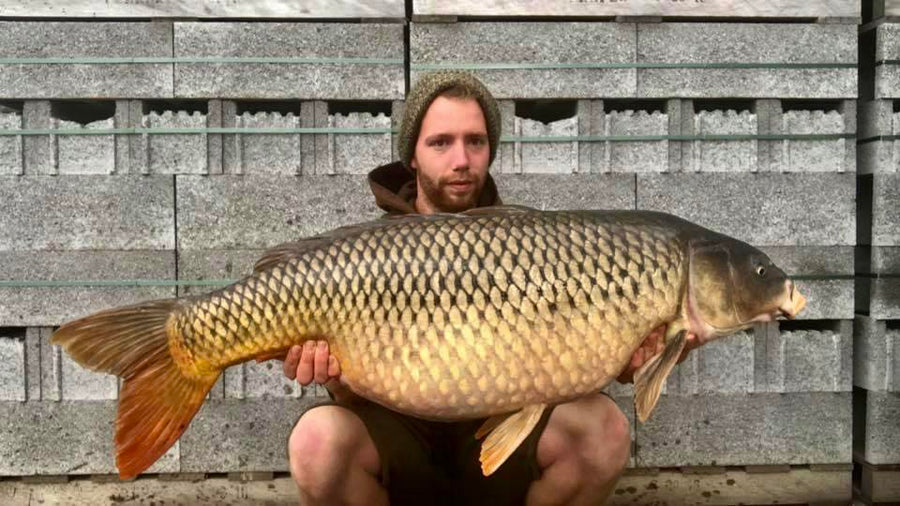 Deze vis kwam uit een serie van 11 Runs op de Rivier