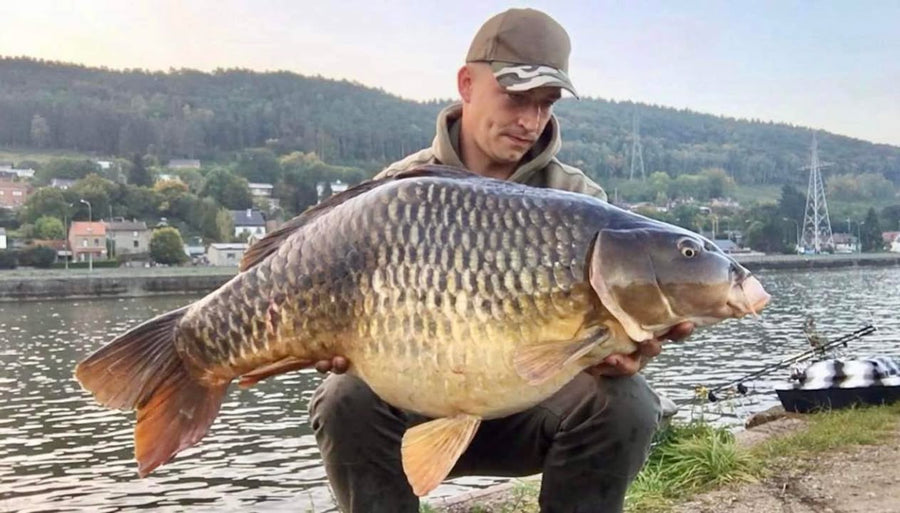 Spicynator slachtoffer van de Rivier