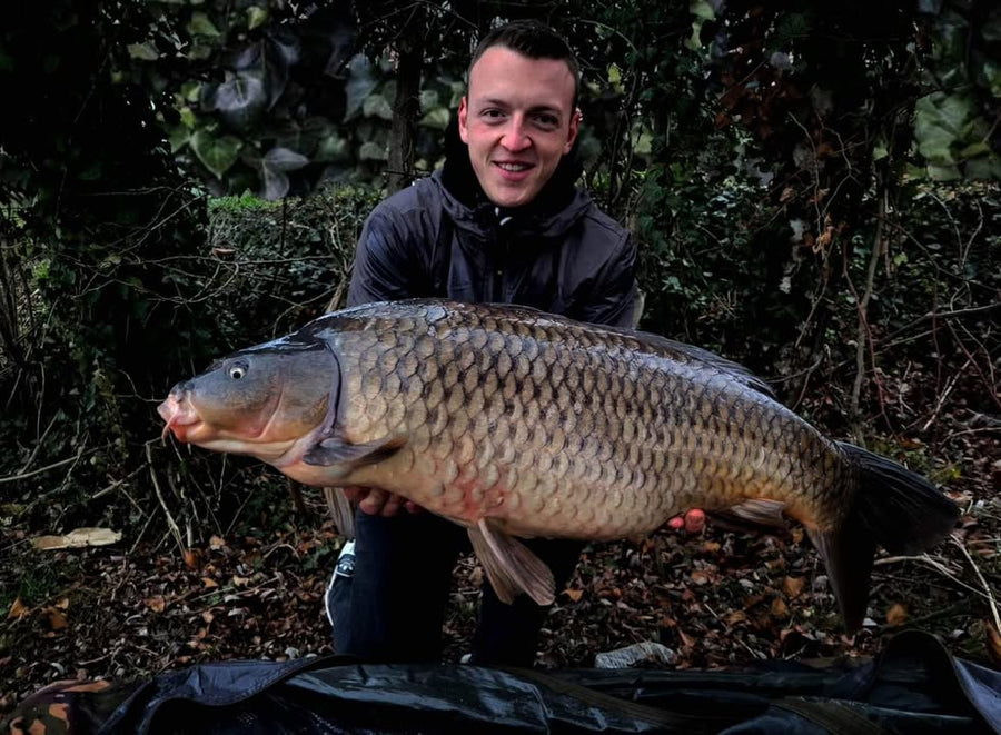 Prachtige karper uit de Rivier